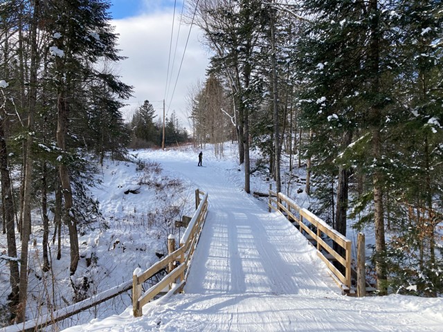 Cross-country skiing at Craftsbury Outdoor Center - MARGARET GRAYSON ©️ SEVEN DAYS