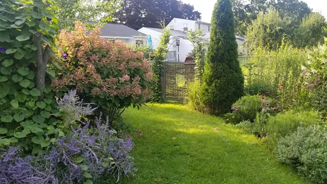 Hornbeam hedge arbor with woven willow gate - COURTESY OF SILVIA JOPE
