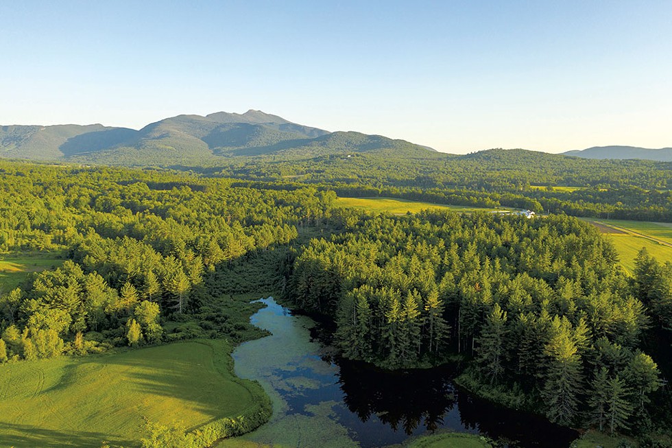 Brewster Uplands Conservation Trust, looking south toward Mount Mansfield - CALEB KENNA
