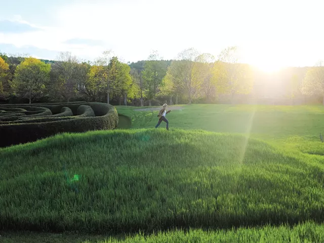 A hilltop overlooking the hemlock Adventure maze - SARAH PRIESTAP