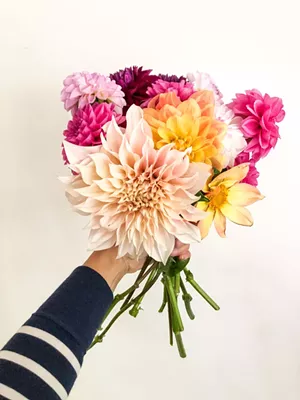Poker Hilll Flower Farm arrangement - COURTESY OF POKER HILL FLOWER FARM