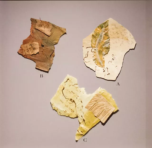Details from "Falling Into Language: A Travelogue" installation - COURTESY OF SAM SIMON