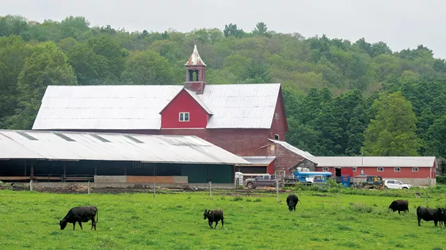 Lazy Breeze Farm - CALEB KENNA