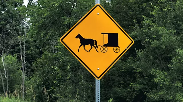 Amish signage - PAULA ROUTLY ©️ SEVEN DAYS