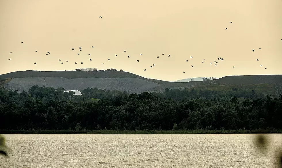 The Coventry Landfill, visible from the shore of Lake Memphremagog - BEAR CIERI