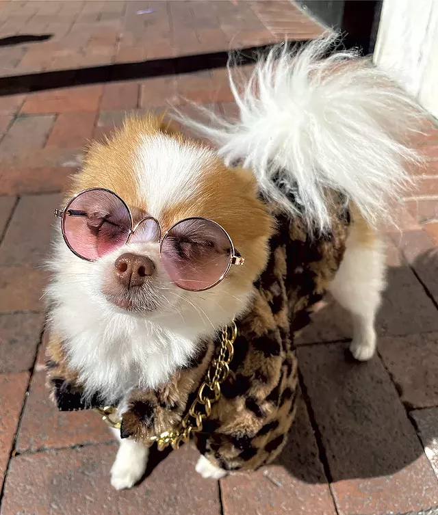 Peanut (Human: Sophia St. John-Lockridge) - COURTESY