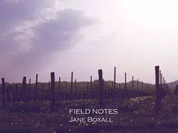 Jane Boxall, Field Notes