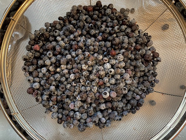 Blueberries - MARGARET GRAYSON