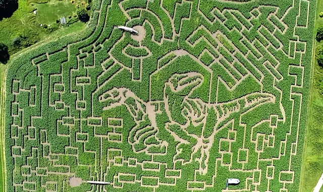 The Great Vermont Corn Maze in 2014 - COURTESY OF MIKE BOUDREAU