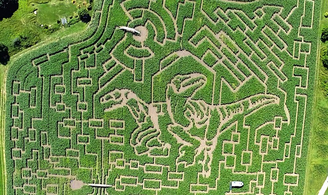 The Great Vermont Corn Maze  in 2014 - COURTESY OF MIKE BOUDREAU