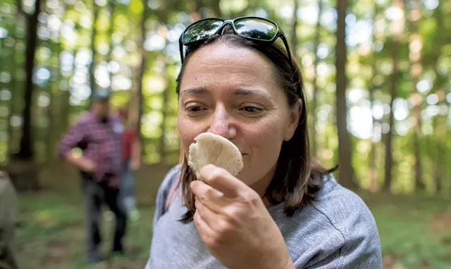 Brooke Cutlan of West Bolton smelling a mushroom during a foraging walk at Shelburne Farms - DARIA BISHOP