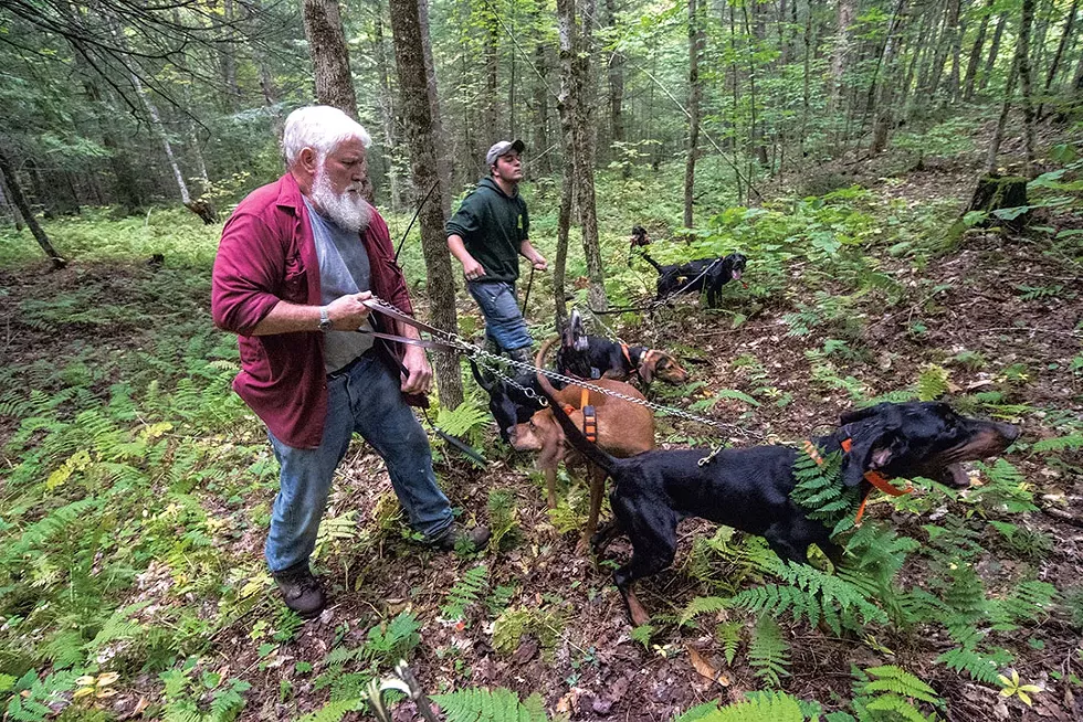 Butch Spear (left) and Michael Jolley collecting bear hounds after a hunt - JEB WALLACE-BRODEUR