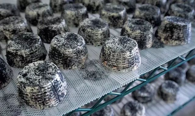 Lazy Lady Farm goat cheese - JEB WALLACE-BRODEUR
