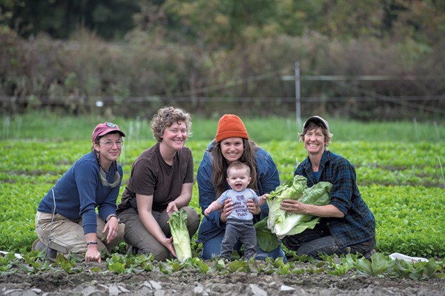 From left: Sophie Cassel, Sophie Howat, Andrea Solazzo with her baby, Lucia Solazzo Dunseith, and Hilary Martin among baby chicory at the Diggers' Mirth Collective Farm - DARIA BISHOP