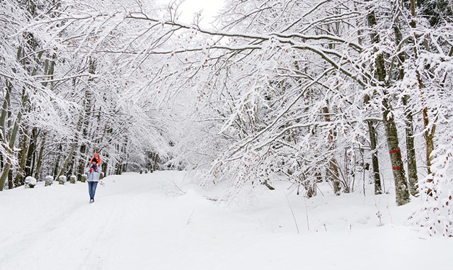 Winter Discovery Hike for Families - &copy; RECHITAN SORIN | DREAMSTIME