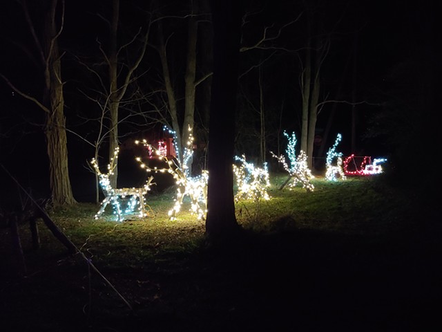Lit-up reindeer in North Ferrisbugh - COURTESY OF NICK PATCH