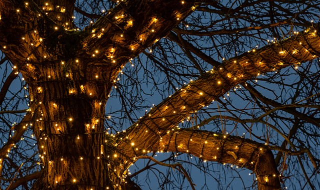 Holiday Lights - &copy; MITHLESH SHRIVAS | DREAMSTIME