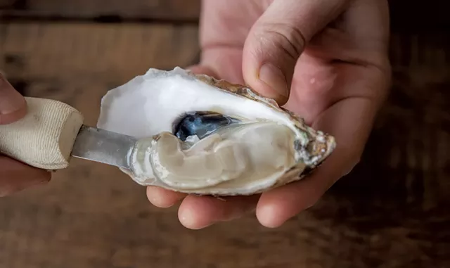 Wellfleet oyster from Caspian Oyster Depot - FILE: CALEB KENNA