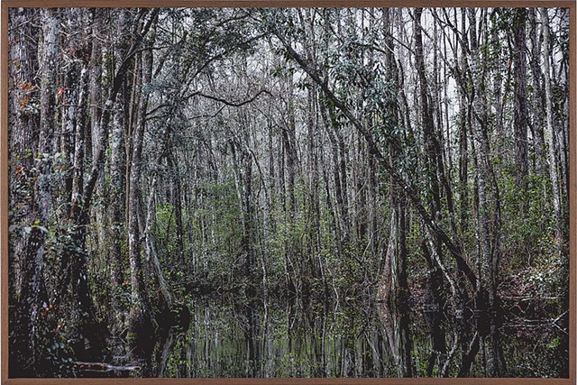 "Untitled #9 (Swamps)" - CATHERINE OPIE, COURTESY REGEN PROJECTS, LOS ANGELES AND LEHMANN MAUPIN, NEW YORK, HONG KONG AND SEOUL