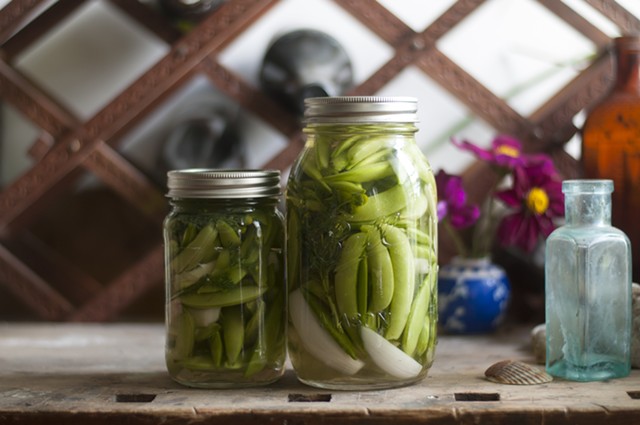 Peas + salt + time = pickles! - HANNAH PALMER EGAN