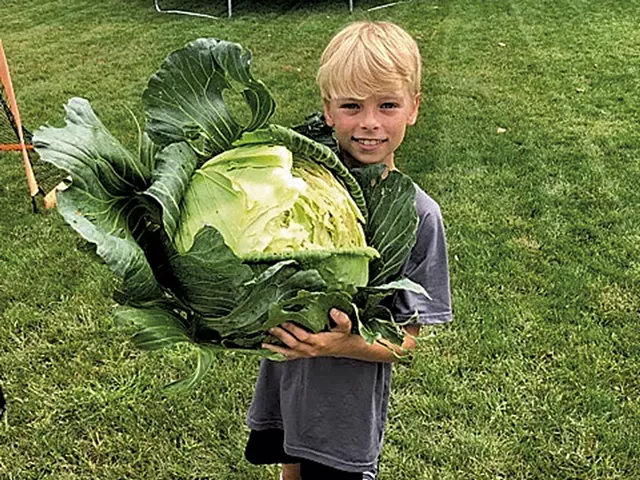 Nathan Gardzina - COURTESY