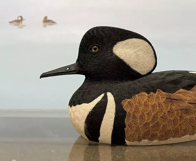 Wood carving at the Birds of Vermont Museum - COURTESY