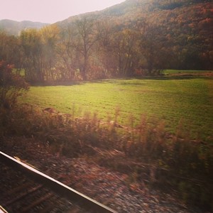 train-leaves.jpg