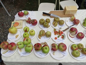 Apple & Harvest Festival
