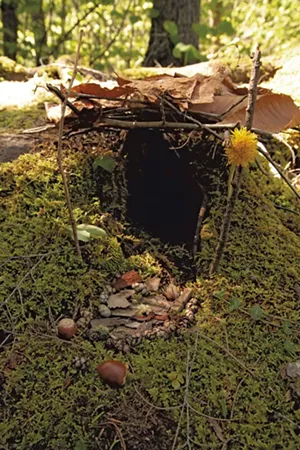 A magical dwelling at the Audubon Center - MATTHEW THORSEN