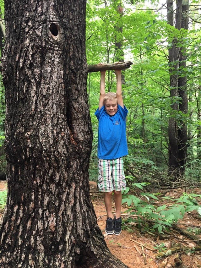 8-year-old Harper explores the East Woods - SARAH TUFF DUNN