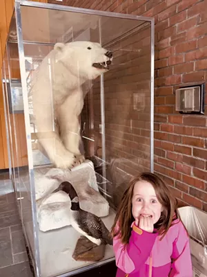 UVM's taxidermy collection - HEATHER POLIFKA-RIVAS