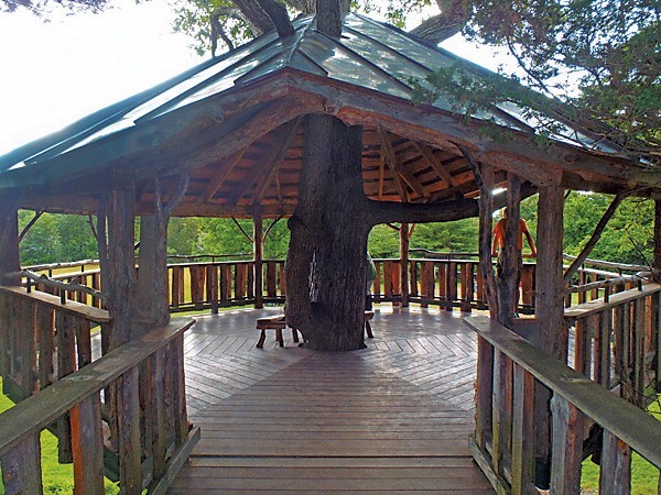 Oakledge Park's universally accessible treehouse - COURTESY OF B'FER ROTH