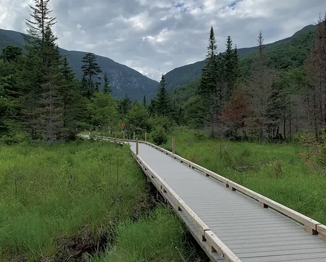 Boardwalk to the beaver pond - HEATHER FITZGERALD