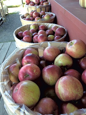 Prepicked apples outside the farm store - JOY CHOQUETTE