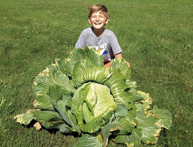 Nolan Anand and his cabbage - COURTESY OF ZANDRA ANAND
