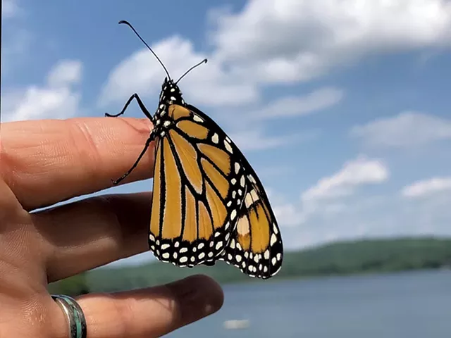 Heather releasing a monarch - HEATHER POLIFKA-RIVAS