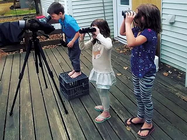 Backyard birding - BRIDGET BUTLER