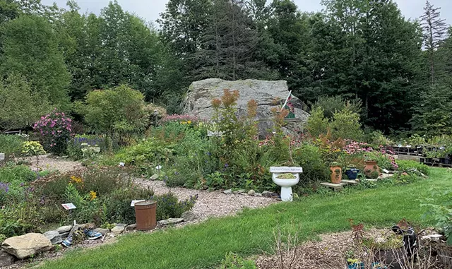 Marijke's Perennial Gardens Plus - MELISSA PASANEN