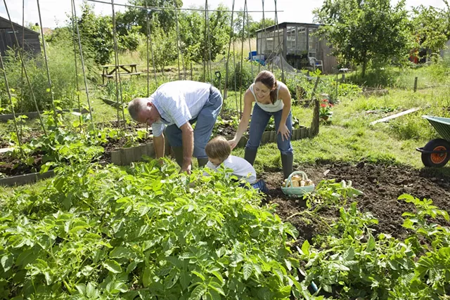 Day in the Dirt - © PHOTOGRAPHERLONDON | DREAMSTIME