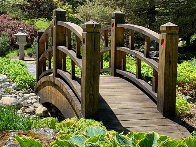 A small footbridge in the Japanese-inspired garden - AMY LILLY