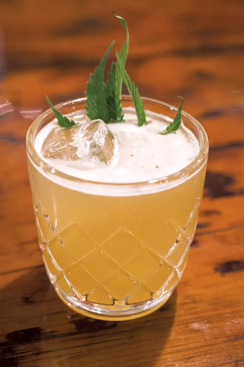 Best place to get a CBD drink, 2022 Best place to get a CBD drink, 2022