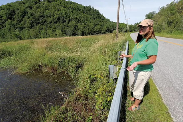 Jessica Demeritt surveying the spot where Hollow Road in Monkton floods due to beaver activity - KEVIN MCCALLUM ©️ SEVEN DAYS