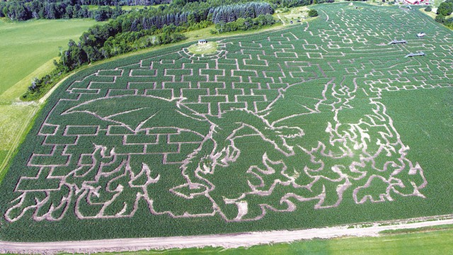 Great Vermont Corn Maze - COURTESY OF VERMONT CORN MAZE
