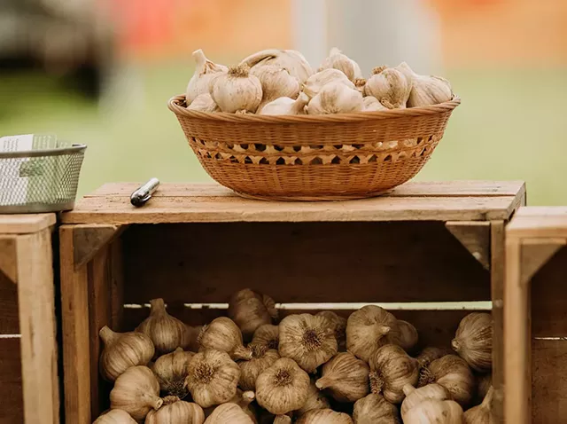 Garlic Town, USA< - © JOHNFOTO | DREAMSTIME