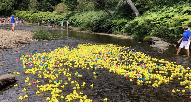 Mad River Rotary Duck Race - COURTESY