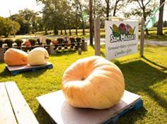 The Giant Pumpkin weigh off is on September 17 - CAT CUTILLO