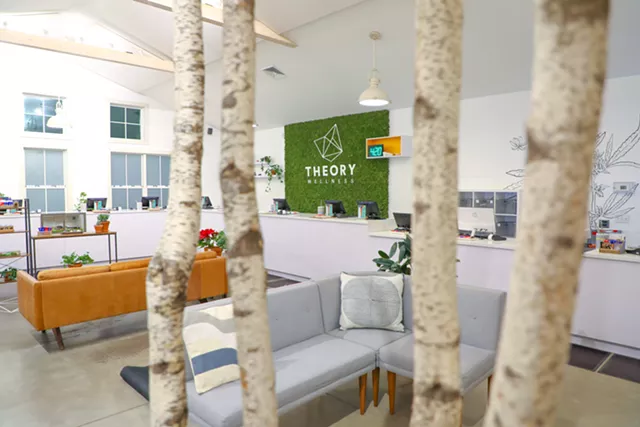 Inside Theory Wellness' Great Barrington, Mass., store - COURTESY OF THEORY WELLNESS