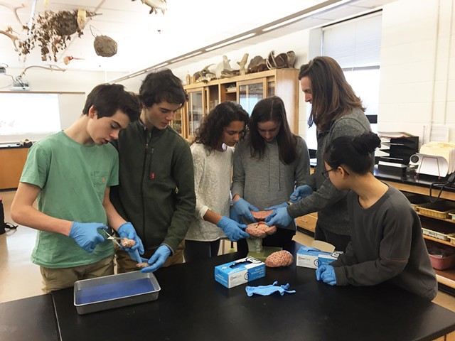 Middlebury Union High School neuroscience club with Middlebury College students at the 2018 Vermont Brain Bee. - COURTESY