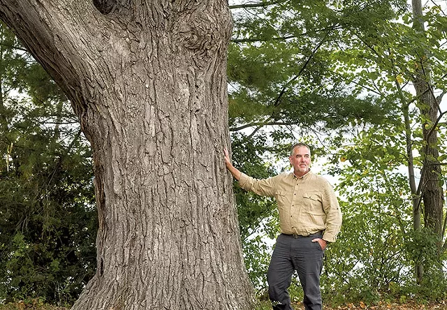 Arborist Warren Spinner with a 280-year-old white oak at Oakledge Park in Burlington - OLIVER PARINI