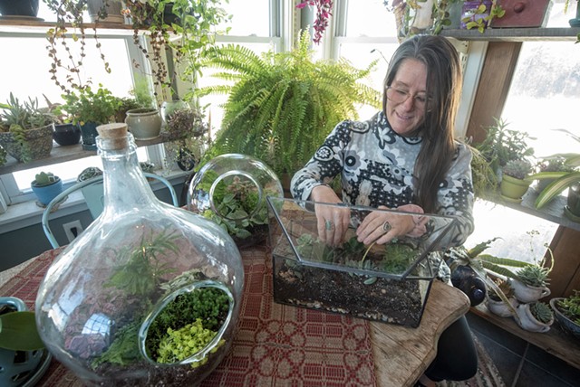 Tracy Badger working on a terrarium at her home in Williamstown - JEB WALLACE-BRODEUR